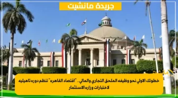 خطوتك الأولى نحو وظيفة الملحق التجاري والمالي.. اقتصاد القاهرة تنظم دورة تأهيلية لاختبارات وزارة الاستثمار 1